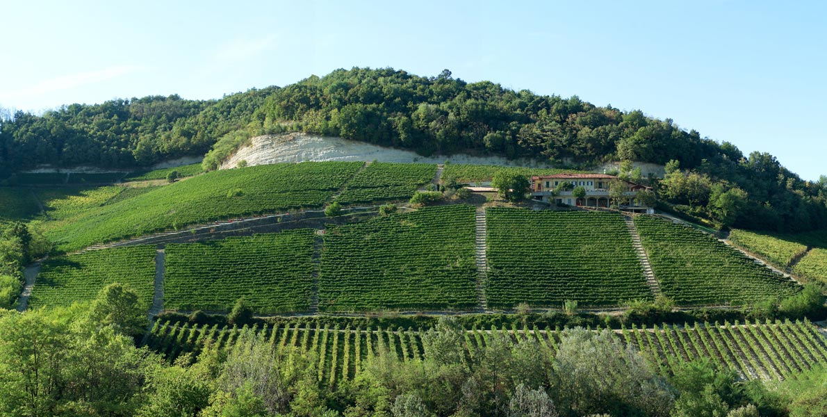 Barolo: Kongernes vin – vinenes konge